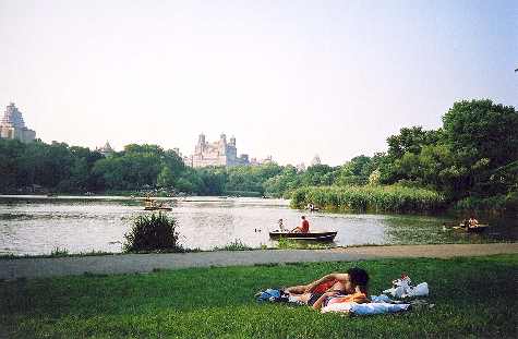 Central park